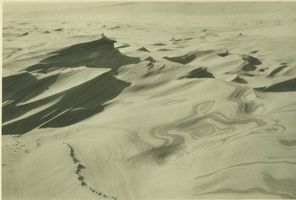  Kurisches Haff, Formenwunder der Dünenwelt Kurische Nehrung, Dünen