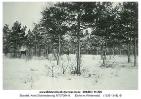 Skirwiet Kr. Elchniederung, Kreis Elchniederung 