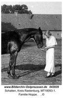 Schatten, Kreis Rastenburg 