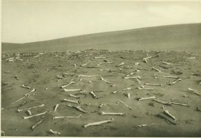 Pillkoppen, Kreis Samland 