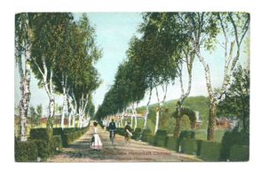 Cadinen, Kreis Elbing Cadinen, Birkenallee II 