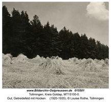 Tollmingen, Kreis Goldap  