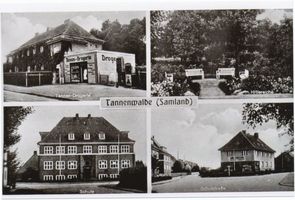 Tannenwalde Stadtkr. Königsberg, Stadtkreis Königsberg Tannenwalde Stadtkr. Königsberg, Drogerie, Hitlereiche, Schule, Schulstraße 