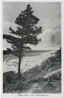 Palmnicken, Kreis Samland Palmnicken, Am Ostseestrand Пальмниккен, на берегу Балтийского моря