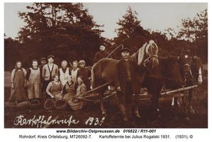 Rohrdorf, Kreis Ortelsburg 