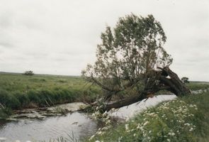 Wartenfeld Kr. Elchniederung, Kreis Elchniederung 