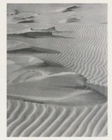  Kurische Nehrung, Dünen, Sandstrukturen,  Stehengebliebene feuchte Sandhügel, die der Sand glattstrich Kurische Nehrung, Dünen, Sandstrukturen