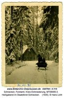 Schnecken, Forstamt, Kreis Elchniederung 