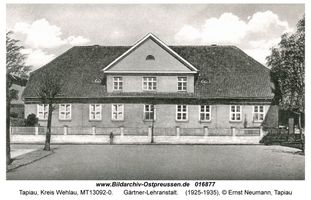 Tapiau, Kreis Wehlau 
