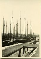 Tolkemit, Kreis Elbing 