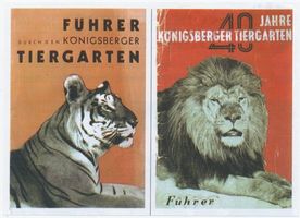 Königsberg (Pr.), Stadtkreis Königsberg Hufenallee Königsberg (Pr.), Hufenallee, Tiergarten, Führer durch den Tiergarten Königsberg, Tiergarten