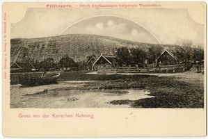 Pillkoppen, Kreis Samland Pillkoppen, Durch Anpflanzung festgelegte Wanderdüne Kurisches Haff