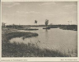  Zehlauer Bruch, Hochmoorteiche im Naturschutzgebiet Zehlau 