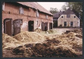 Popehnen, Kreis Wehlau Popehnen, Vor dem Kuhstall häuft sich der Mist, Stall und Wohnhaus verfallen 