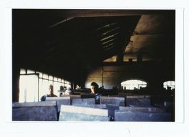 Cadinen, Kreis Elbing 