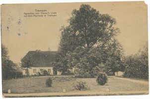 Trempen, Gut, Kreis Angerapp Trempen, Ännchen von Tharaus Linde auf dem Pfarrhofe in Trempen 