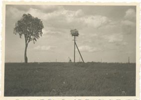 Haffwerder, Ort, Kreis Labiau Haffwerder, Landschaft mit Storchennest 