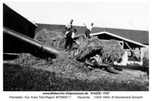 Pamletten, Gut, Kreis Tilsit-Ragnit  