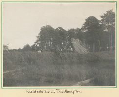Tawellenbruch, Ort und Forstamt, Kreis Elchniederung Tawellenbruch fr. Tawellninken, Forstarbeiter 