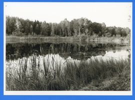  Lyck (Kreis) Masurischer See V Лык (уезд), мазурское озеро, V