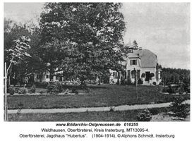 Waldhausen Kr. Insterburg, Oberförsterei, Kreis Insterburg 