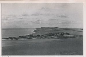  Kurische Nehrung, Dünenlandschaft Kurische Nehrung, Dünen