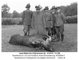 Tawellenbruch, Ort und Forstamt, Kreis Elchniederung 