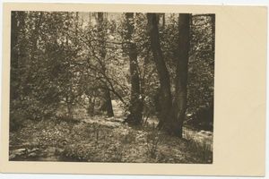 Königsberg (Pr.), Stadtkreis Königsberg 