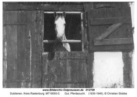 Dublienen, Kreis Rastenburg 
