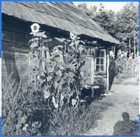 Preil, Kreis Memel Preil,  Fischerhaus Kurische Nehrung, Fischerei