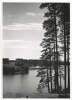  Niedersee, Landschaft am Niedersee Masuren, Niedersee