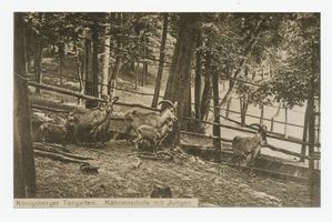 Königsberg (Pr.), Stadtkreis Königsberg Hufenallee