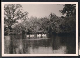Landkeim Kr.Samland, Kreis Samland Landkeim Kr Samland, Gutshof,  Gänse auf dem Hofteich 