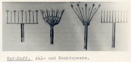  Kurisches Haff, Aal- und Hechtspeere Kurisches Haff, Fischerei