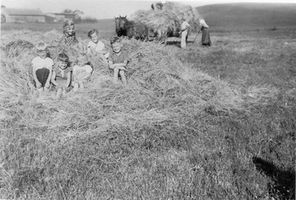 Satticken Kr. Treuburg, Kreis Treuburg 