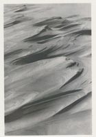  Kurische Nehrung, Dünen, Sandstrukturen, Windgewehte Formen im Sand Kurische Nehrung, Dünen, Sandstrukturen