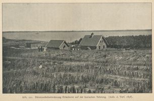 Erlenhorst, Kreis Memel Erlenhorst, Dünenaufseherwohnung 