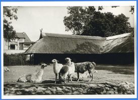 Königsberg (Pr.), Stadtkreis Königsberg Hufenallee