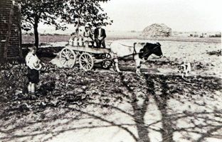 Stangau, Kreis Samland 