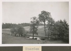 Tharden, Kreis Osterode Tharden, Landschaftsbild 