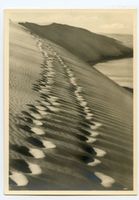  Kurische Nehrung, Spuren im Dünensand Куршская коса, следы на дюнном песке