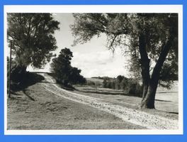 Hohenstein Kr. Osterode, Stadt, Kreis Osterode Hohenstein i. Ostpr., Landschaft bei Hohenstein 