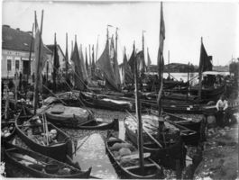 Labiau, Kreis Labiau 