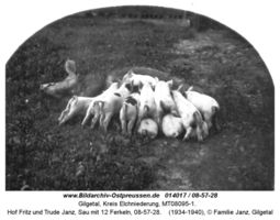 Gilgetal, Kreis Elchniederung 