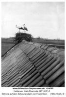 Haldenau (Ostpr.), Kreis Ebenrode 