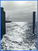 Cranz Kr. Samland, Ort, Kreis Samland Cranz, Fischerboote am Strand XI Cranz, Fischerei