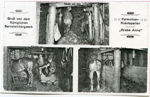 Palmnicken, Kreis Samland 