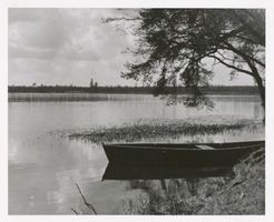  Johannisburger Heide, Waldsee II Йоханнисбургская пуща, лесное озеро, II