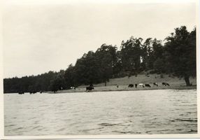  Am Talter See III 