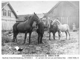 Neufrost, Kreis Elchniederung 